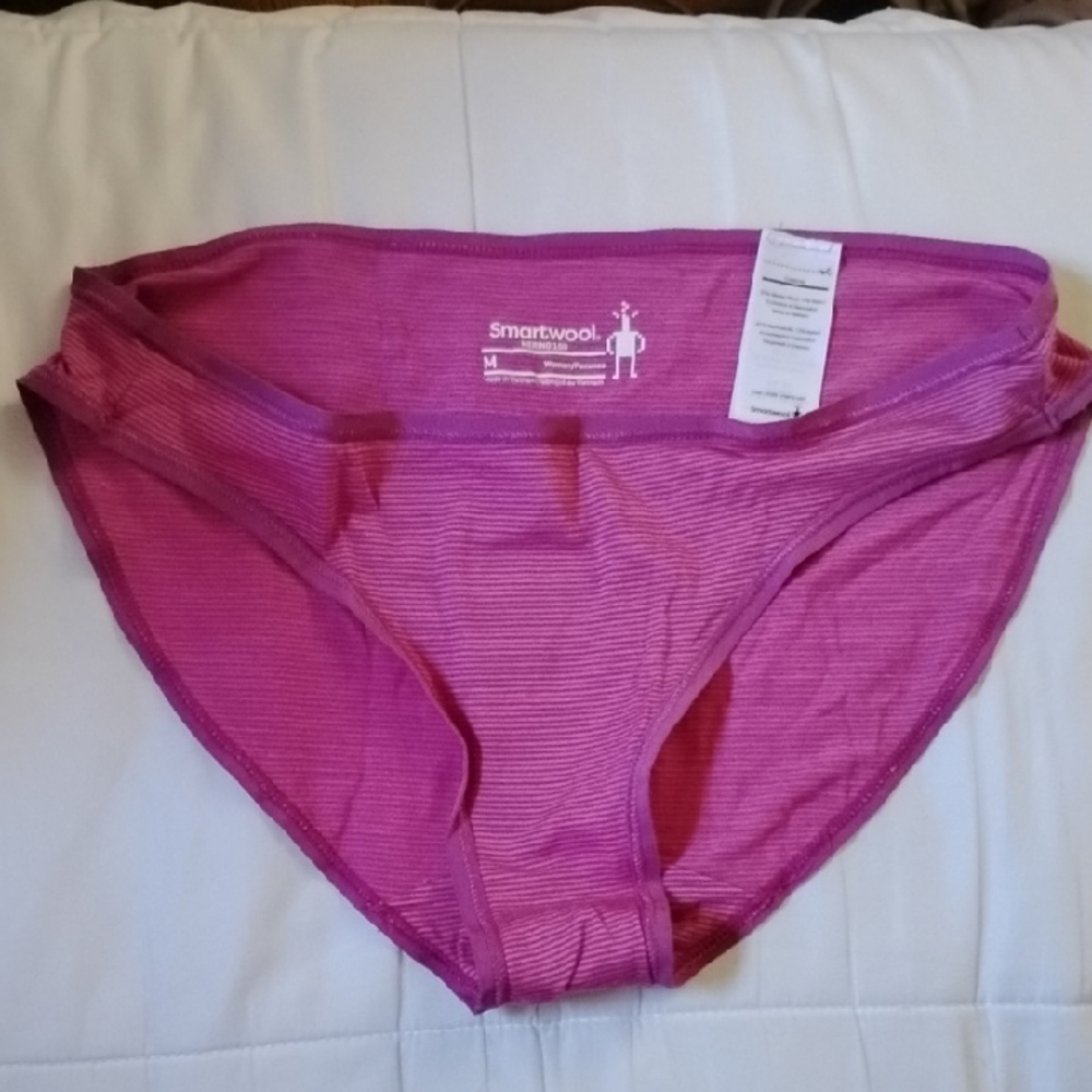NEW Smartwool Women's Merino Bikini 150 Underwear Pink Striped